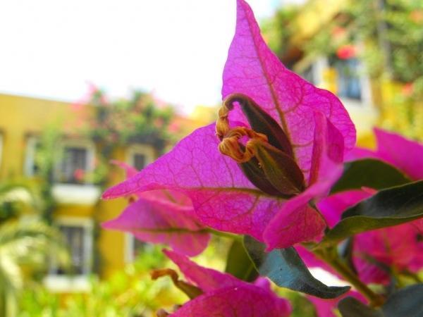 Meldi Hotel Kalkan Eksteriør bilde